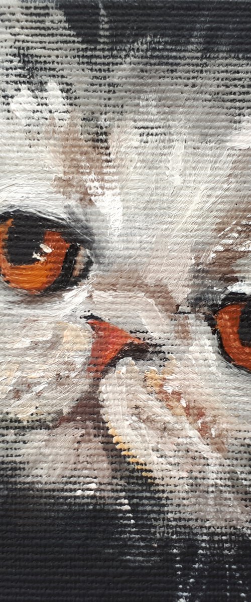 Cat VI / FROM MY A SERIES OF MINI WORKS CATS/ ORIGINAL OIL PAINTING by Salana Art