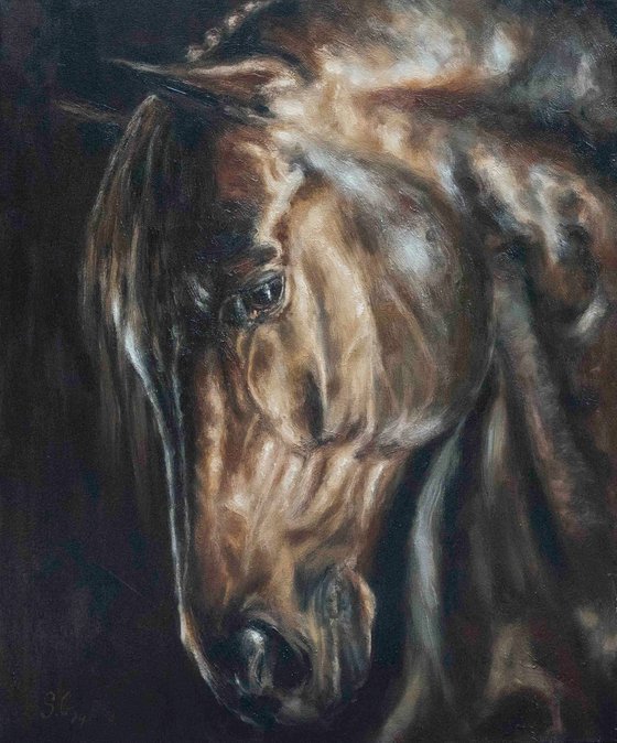 Stallion-Original Horse Portrait
