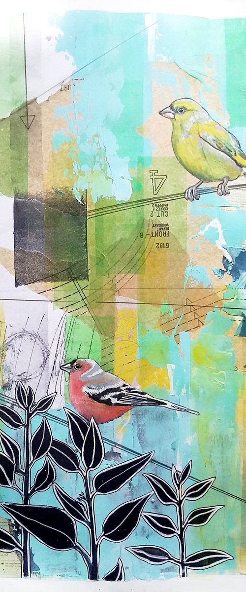 Finches by Carolynne Coulson