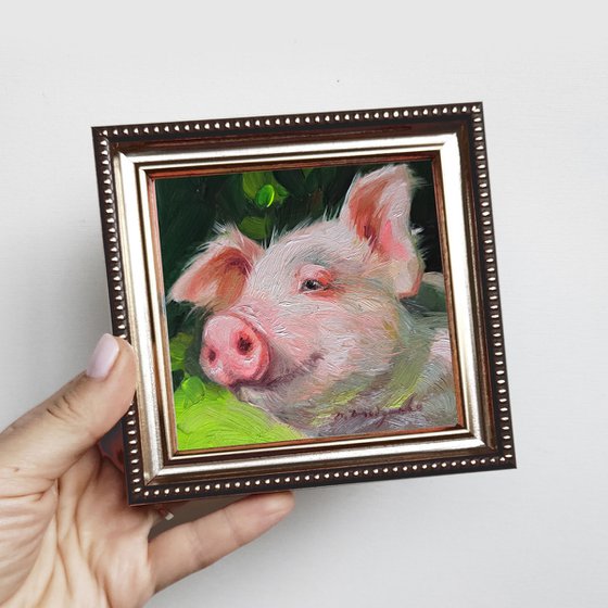 Pig