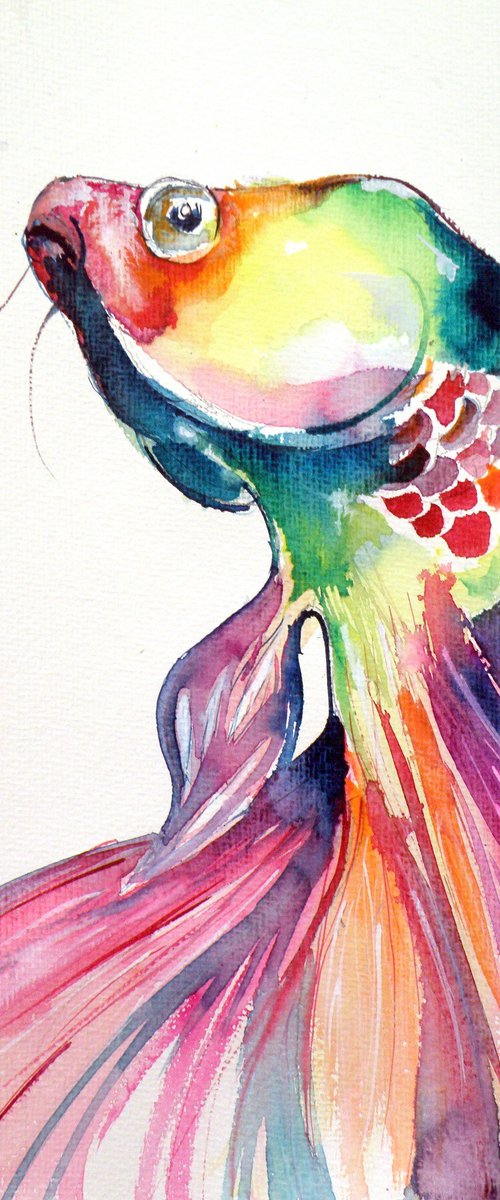 Colorful fish by Kovács Anna Brigitta