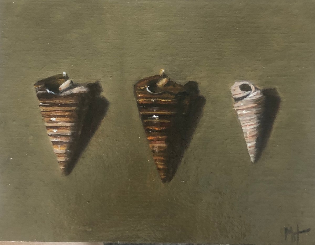 Three Shells by Marybeth Hucker