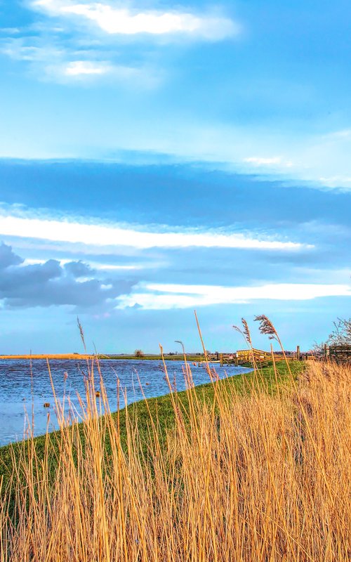 Cley Windmill by Martin  Fry