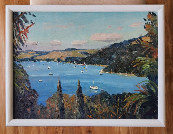 Salcombe Estuary from Overbeck's