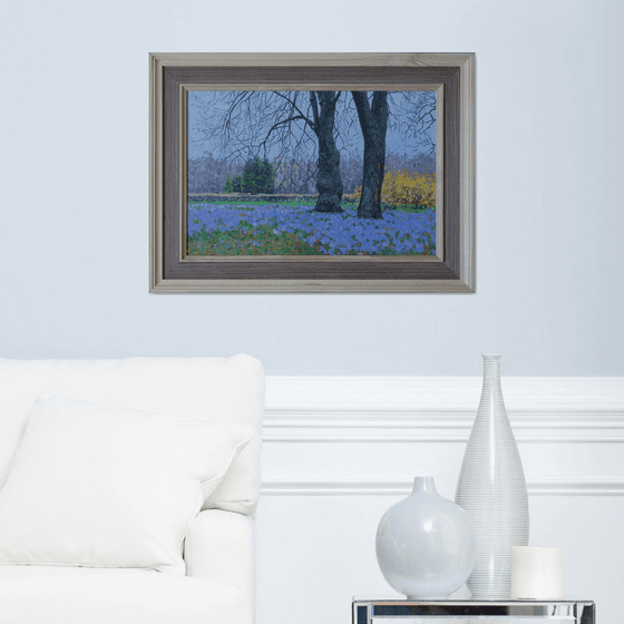 Blue primroses