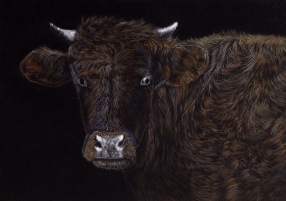 Original pastel drawing "Brown cow"