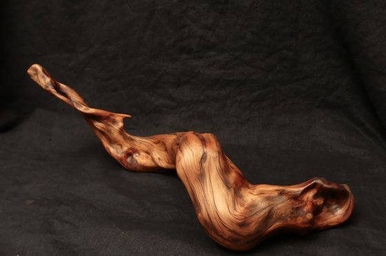 Mist Dragon - Abstract Motion Sculpture