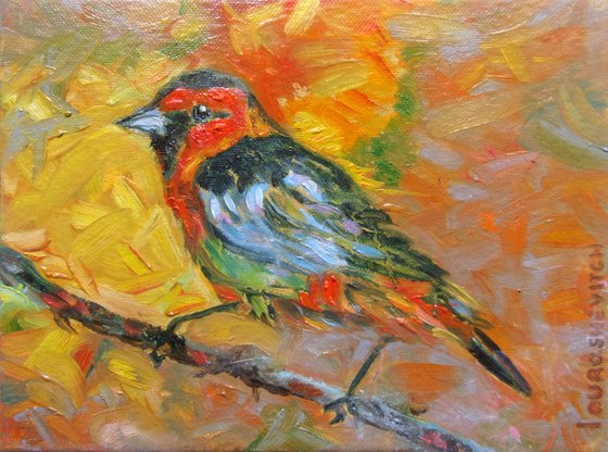 TROPICAL BIRD Painting 6x8 in Oil,Robin Miniature,Little Birdie Art Picture,Delightful Bird Illustration