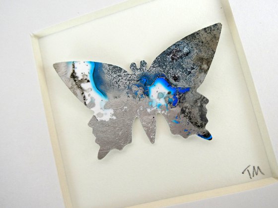 One Silver and Blue Butterfly