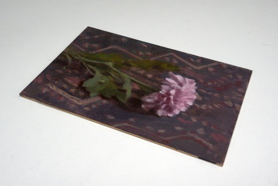 Chrysanthemum