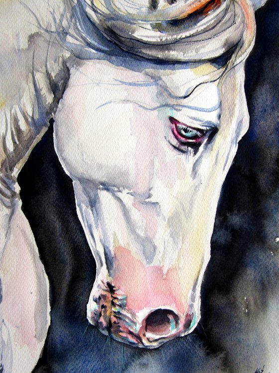 White horse II