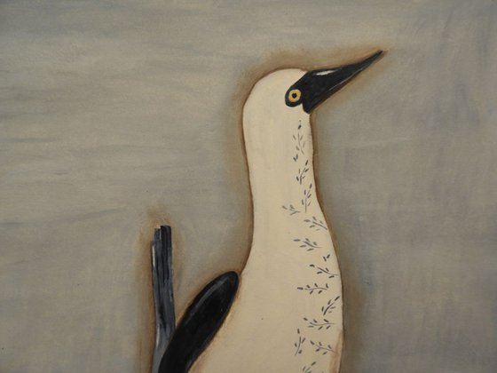 The Blue-footed booby