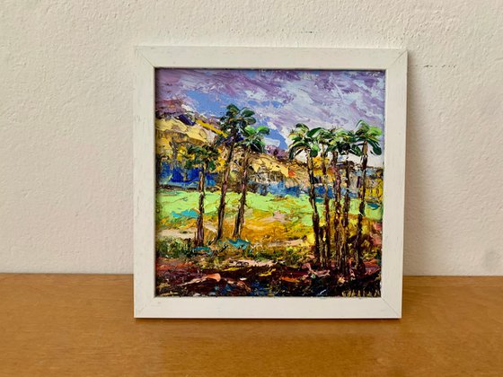 Palm Springs landscape