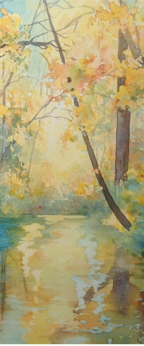 SUNLIGHT ON THE POND by Josephine Hudson