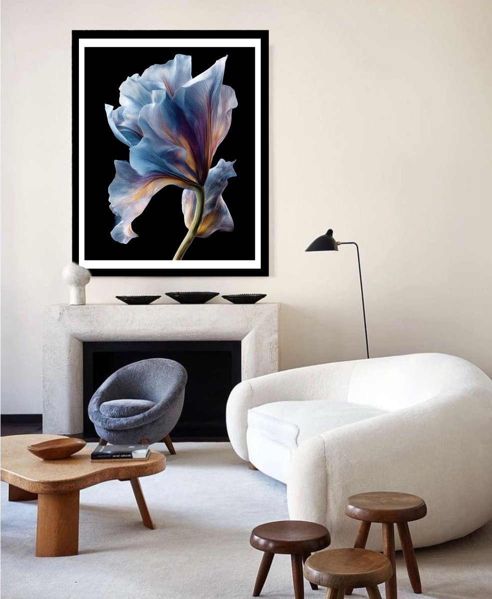 Surrealistic Photograph , Botanical Grace 7 By Michael Filonow, 26 X 32, Artwork For Sale On Artfinder