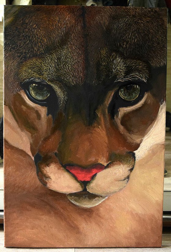 "Mountain Lion" 60 x 40 cm , Ready to Hang / hyperrealism / photorealism / wild cat / wild life/ animalism