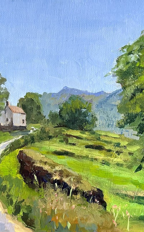 Pyrenees landscape by Toni Swiffen