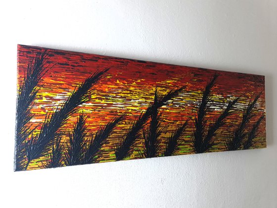 Red Morning