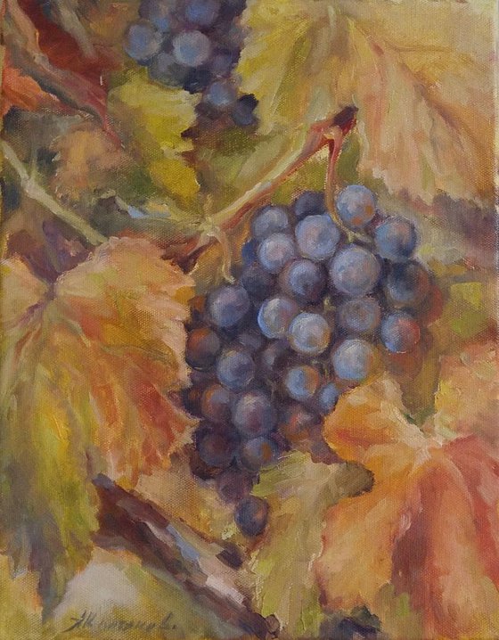 Grapes 4 11x14''