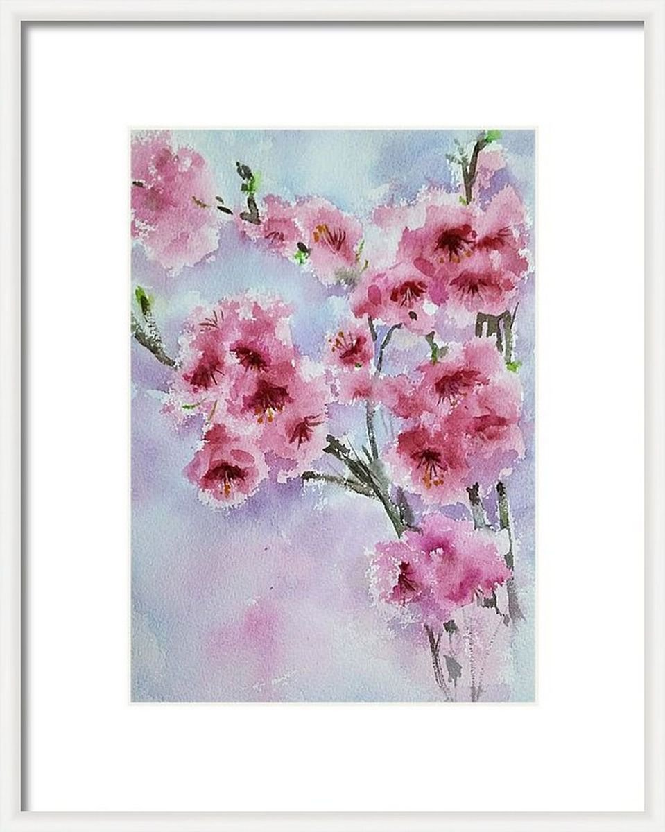 Cherry blossoms 2 Sakura ORIGINAL watercolor by Asha Shenoy