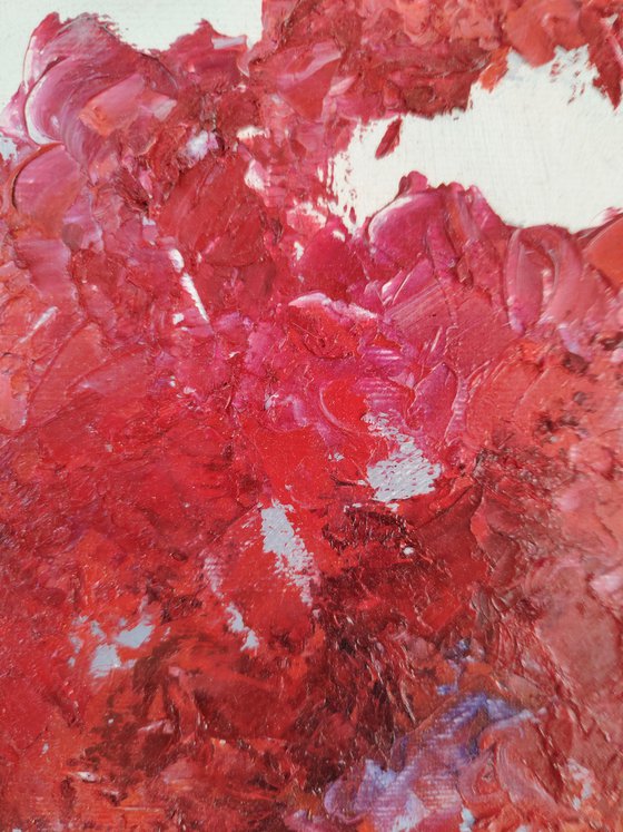 Bougainvillea full of hope