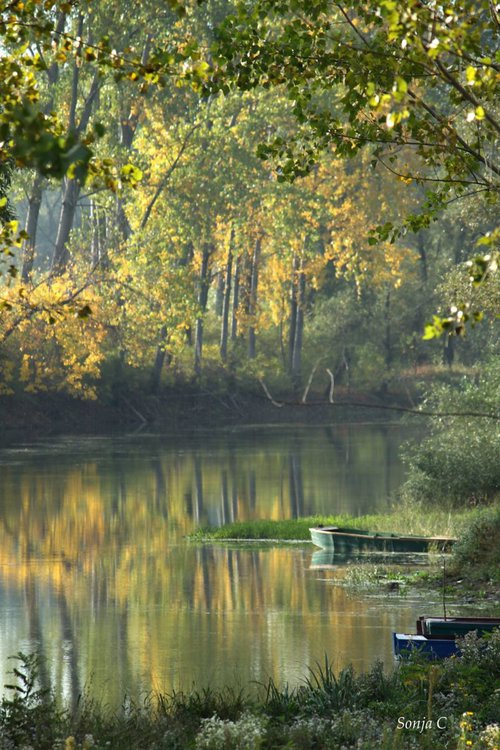 Fall day on the river by Sonja  Čvorović