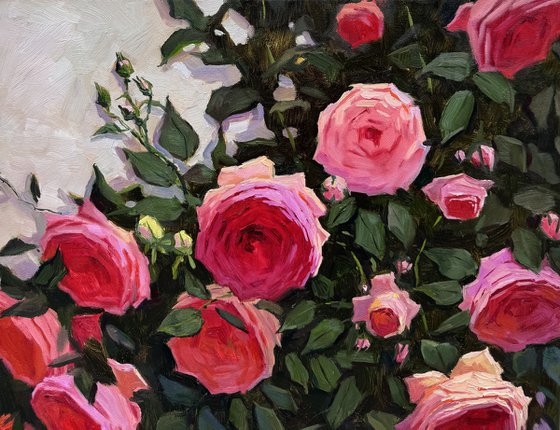 Pink Roses