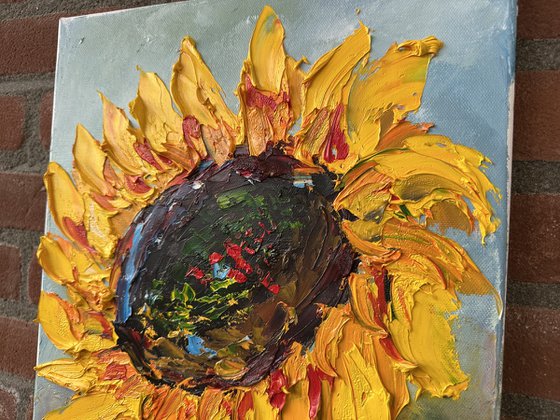 One Sunflower