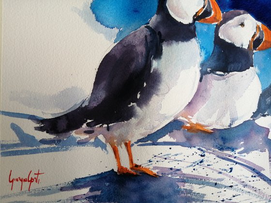 puffin 3