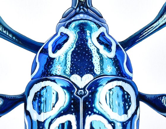 Jewel Beetle #1