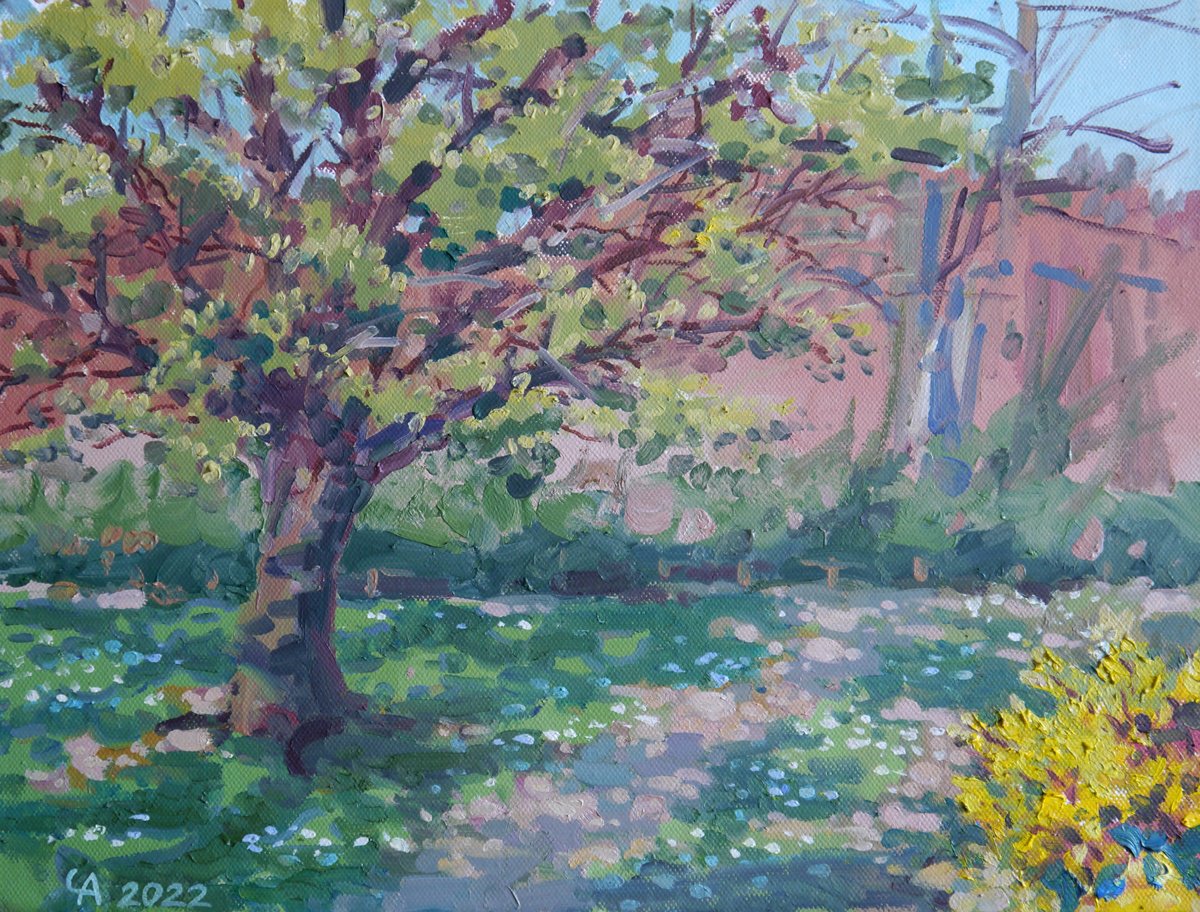 Spring Garden By Anastasia Chernysheva, 16 X 12, Artwork For Sale On Artfinder