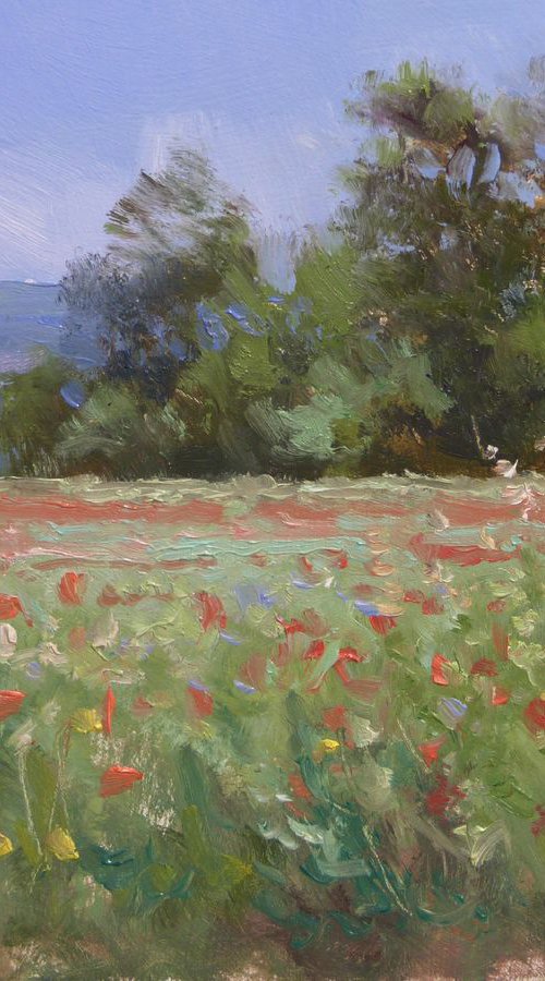 Fields near Gordes by Pascal Giroud