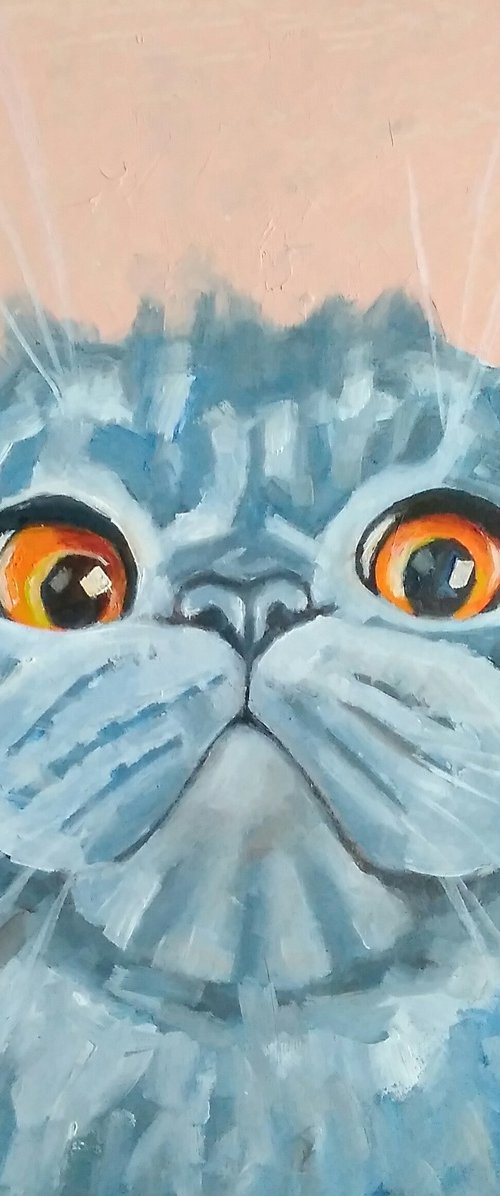 Grey Cat Oil Painting Original Art Cute Pet Artwork Cat Portrait by Yulia Berseneva