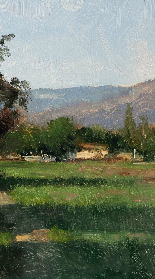 Chemin des Bollènes by Pascal Giroud