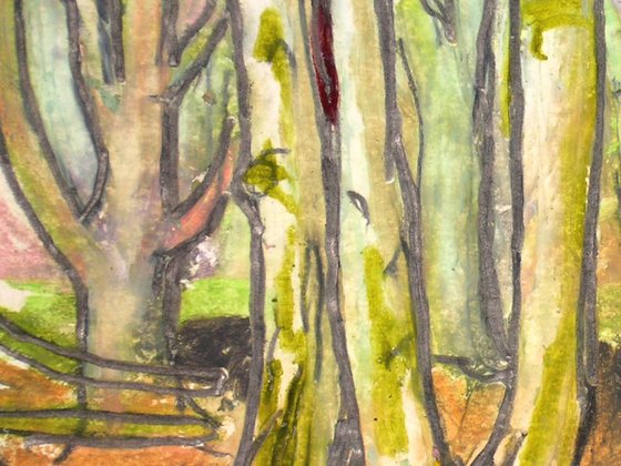 Birch Trees 03