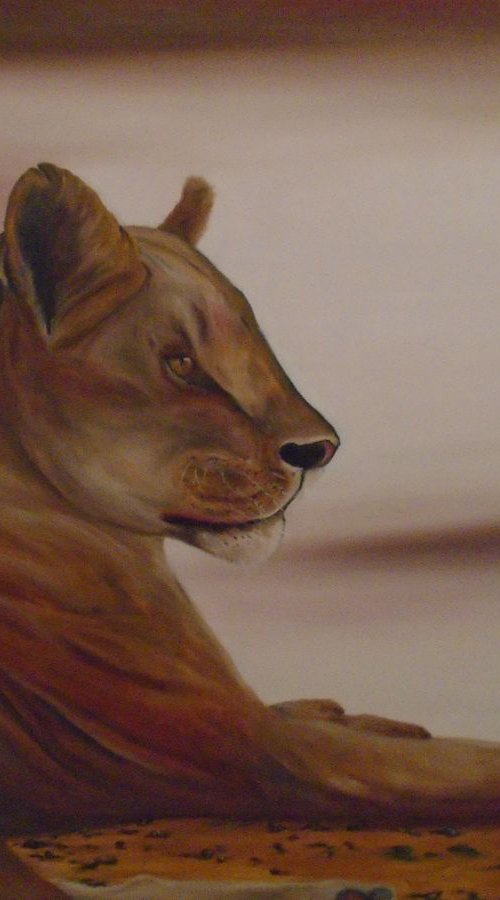 Lioness by Timea  Valsami