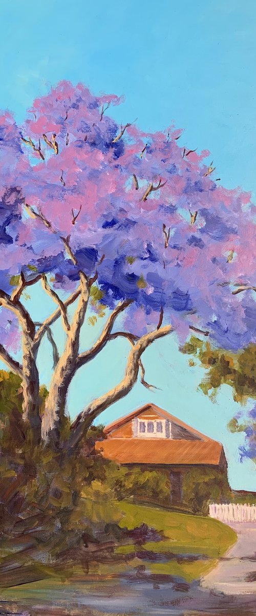 House with jacaranda by Shelly Du