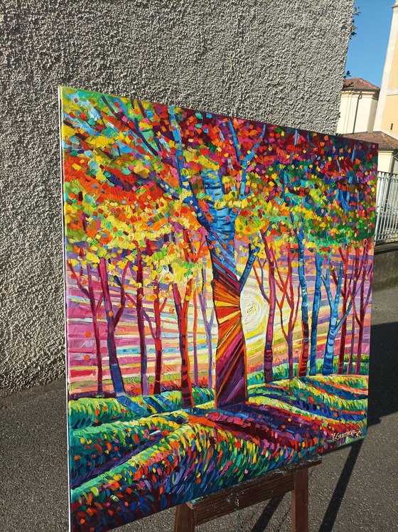 Autumn light in the forest