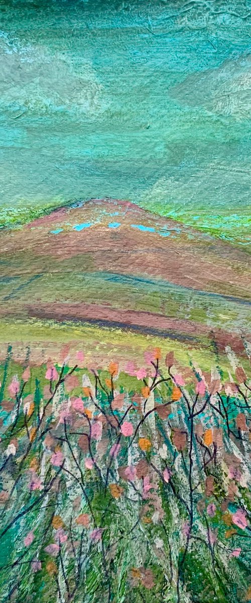 Moorland Views by Janice MacDougall