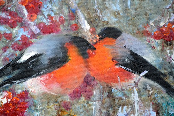 Happy bullfinches