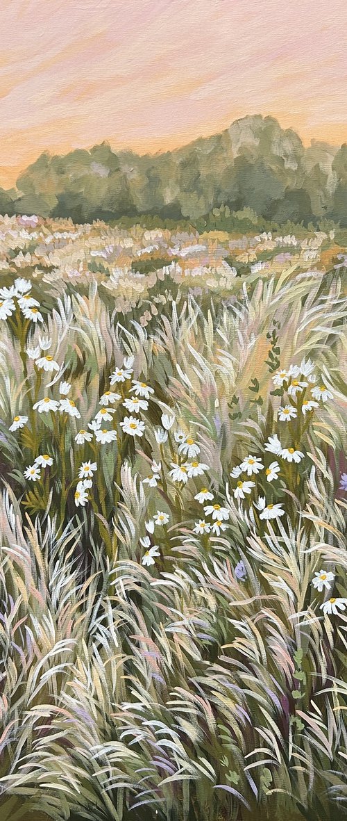 Meadow with Chamomile by Gabriele Prismantaite