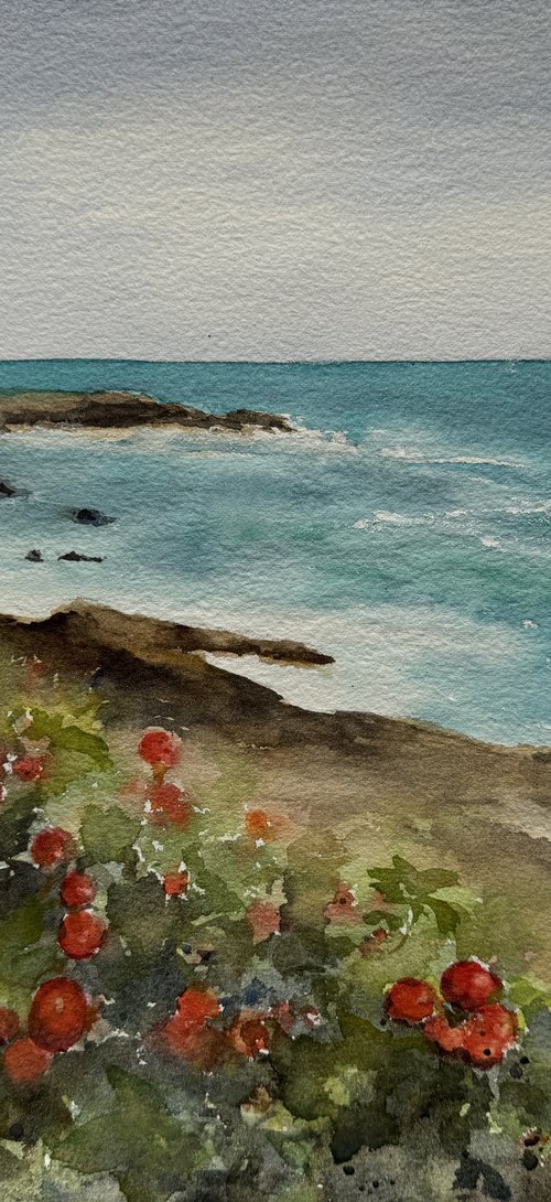 Rhode Island coastline by Shelly Du