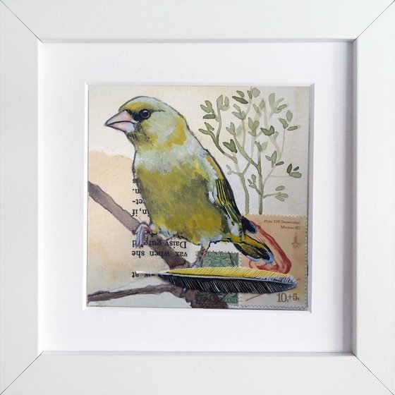 The Greenfinch feather  (framed and ready to hang)