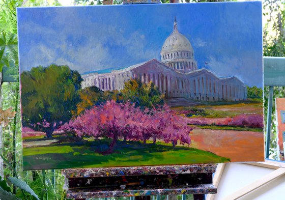 Spring. US Capitol Building