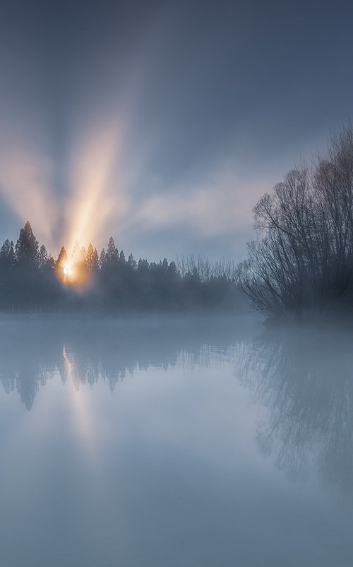 Sunlight Through Morning Mist by Nick Psomiadis