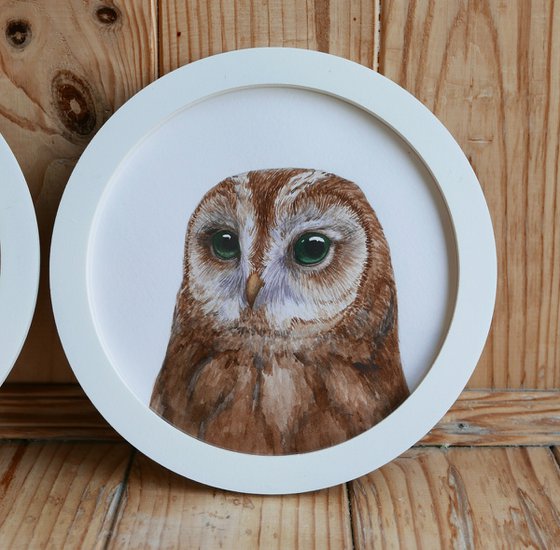 Framed owl. Part 3.