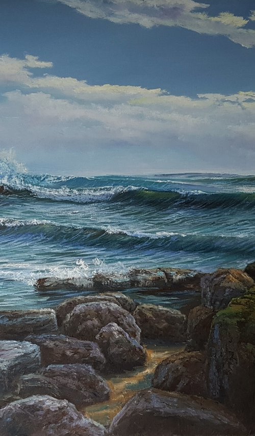 Rocky Shore by Paul Narbutt