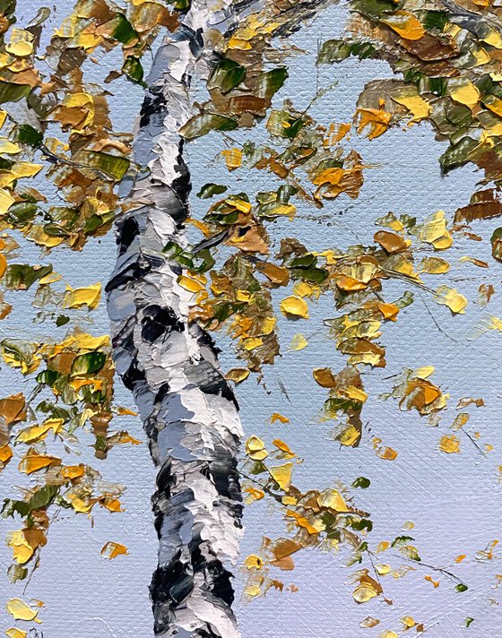 Birch in the sky