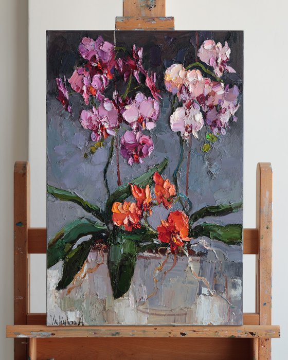 Orchids in Bloom