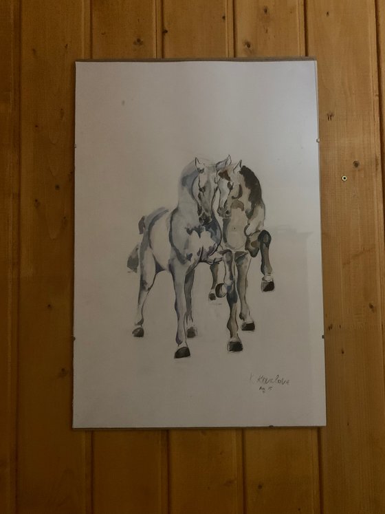 Horses